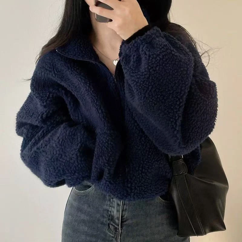 

Artificial Lamb Wool Crop Jacket Women Autumn Winter Thick Warm Plush Coat Female Fashion Zipper Stand Collar Casual Outerwear