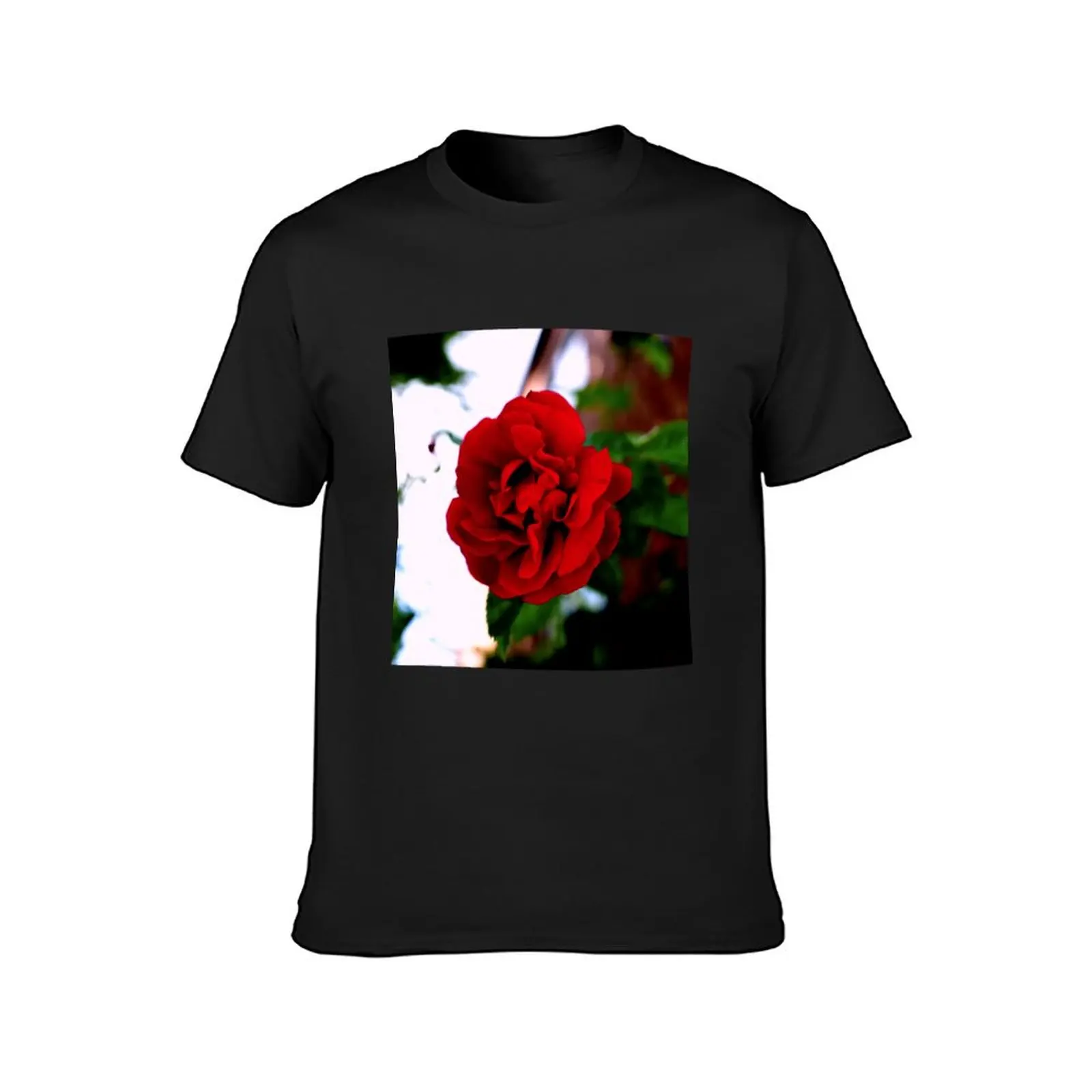 FLOWER SERIES 1 Scarlet Delight Floating Rose Greetings T-Shirt blacks Blouse Short sleeve tee t shirts for men pack