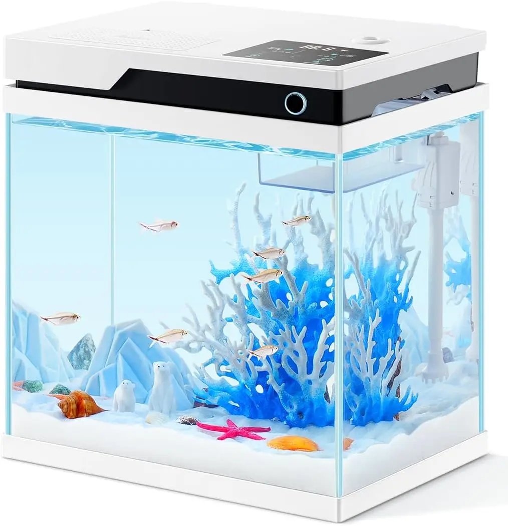 

Fish Tank, 4 Gallon Small Betta Fish Aquarium Kit with Filter Light, Automatic Fish Feeder, Low-Iron Glass, Ideal Startar