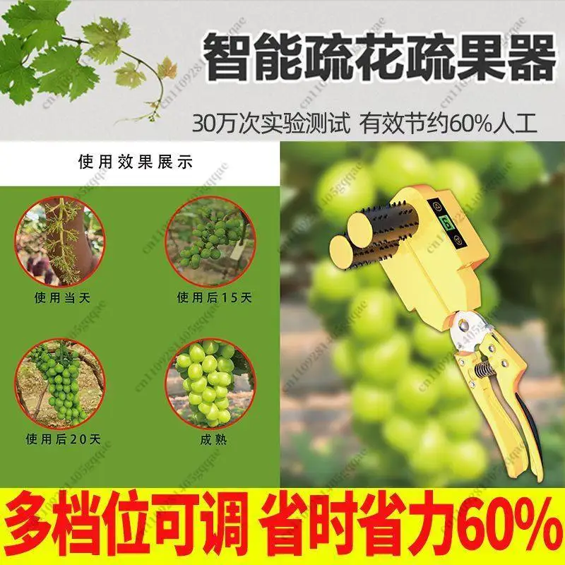 Elektrische Traubenblüten-Verdünnungsmaschine für Sunshine Rose Knospen- und Beeren-Trimmwerkzeug – Detail 4