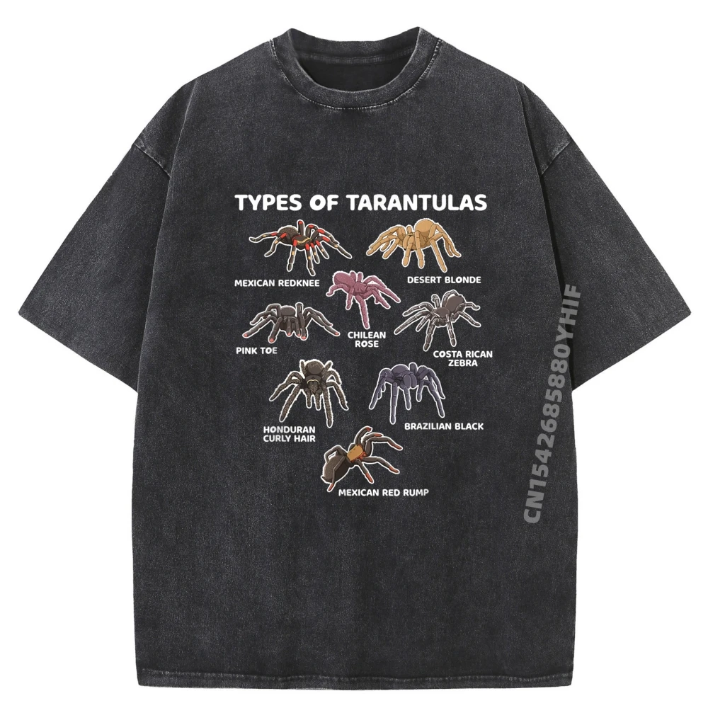 

Graphic Types of Tarantulas Pink Toe Funny Tshirts Daily Wear Comfortable Male Tops Tees Graphic T Shirt Mens Washed Shirt