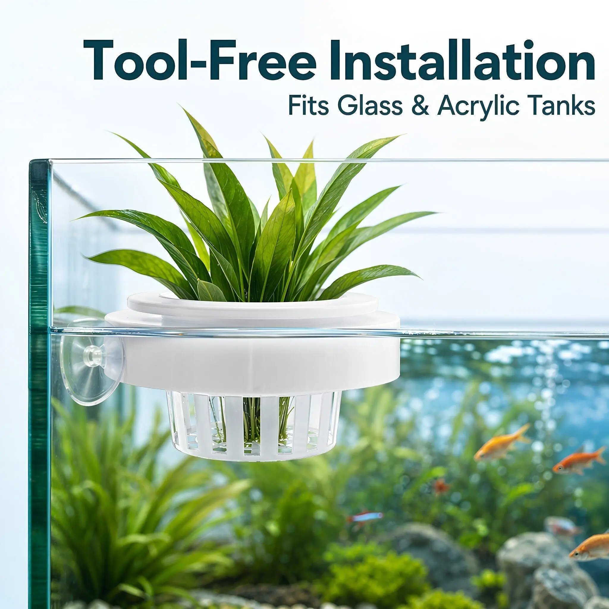 4pcs Floating Aquarium Plant Basket Plastic Aquatic Plant Container Fish Tank Hydroponic Planting Cup with Suction Cup - view 2