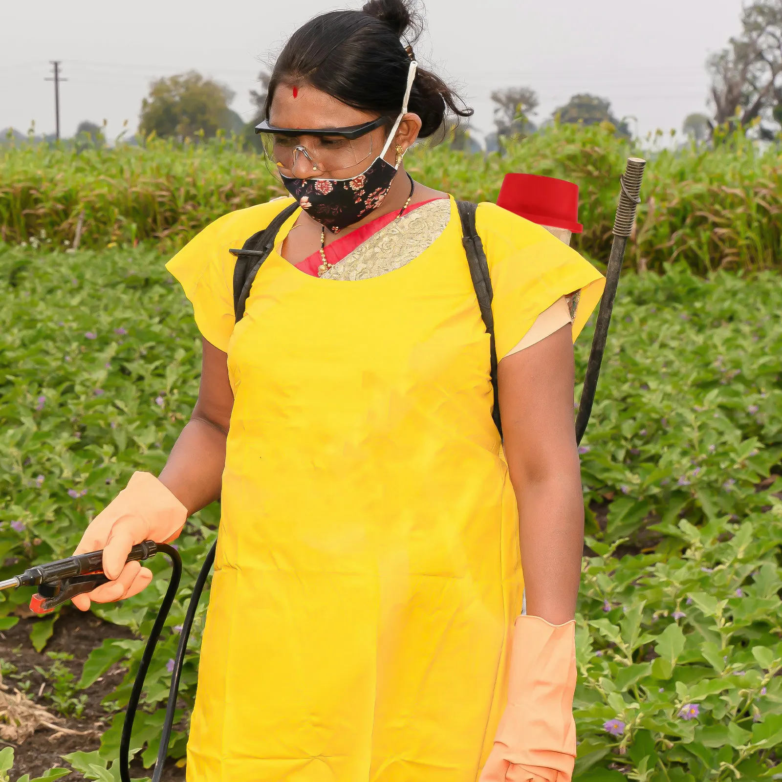 Agriculture Sprayer Parts Back - Crop Sprayer Backpack ulasan dan harga