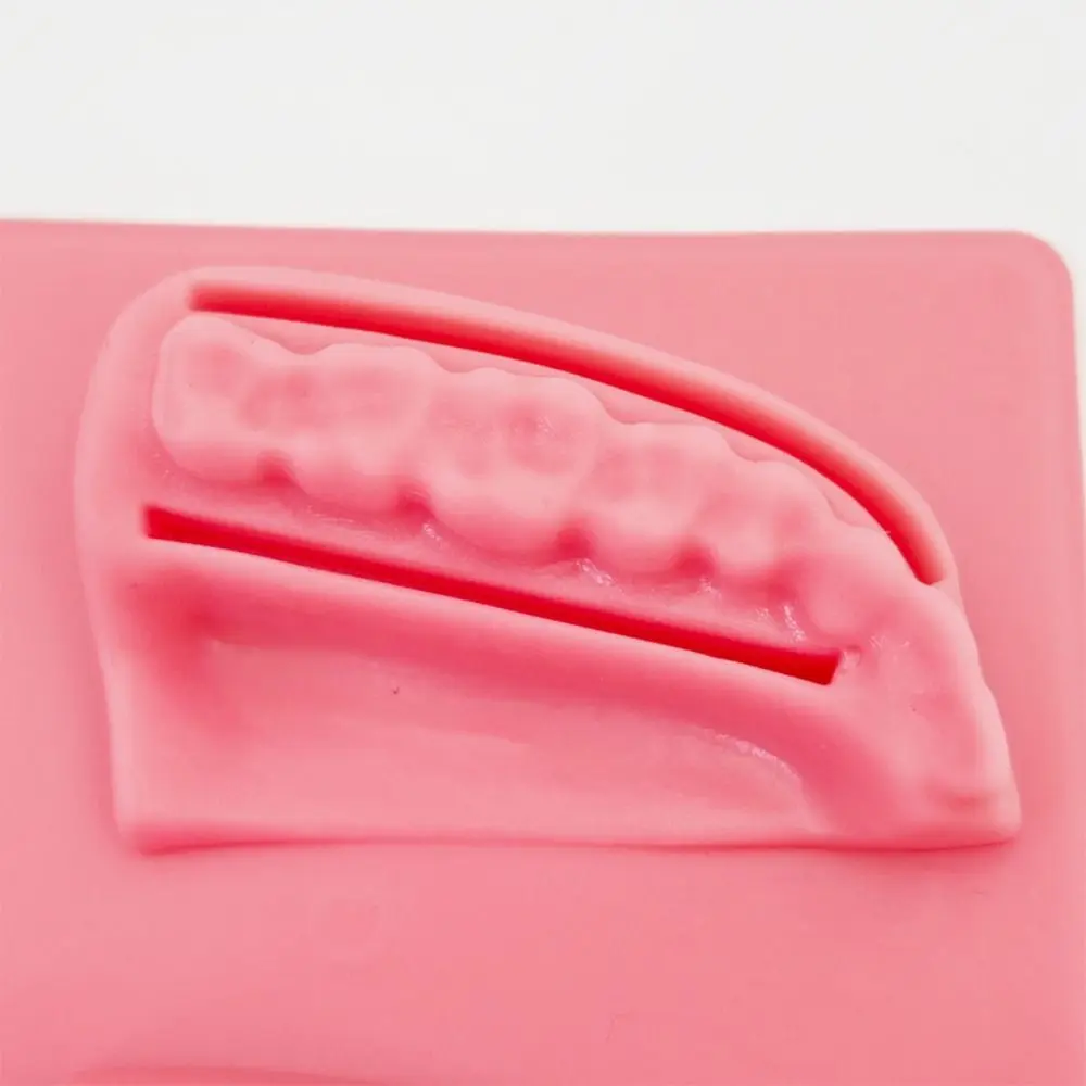 Silicone Dental Oral/Gum Suture Model Suturing Practice Simulation Oral Skin Suture Pad Soft 4 Wound Types