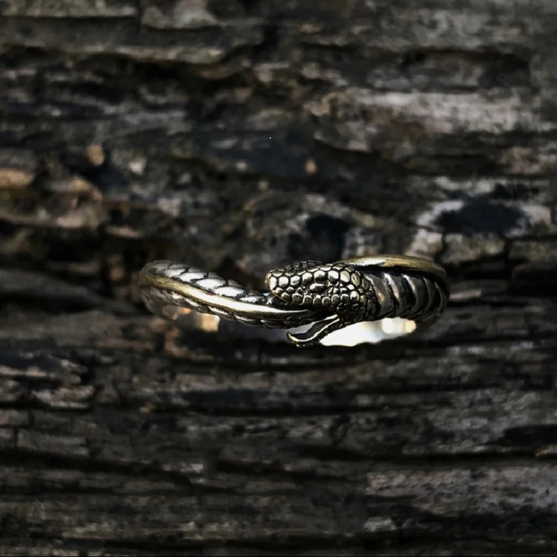 Vintage Ouroboros Snake Ring Men Jewelry Adjustable Exquisite Carved Snake Ring S925 Male Gold Collision Tail Finger Accessories