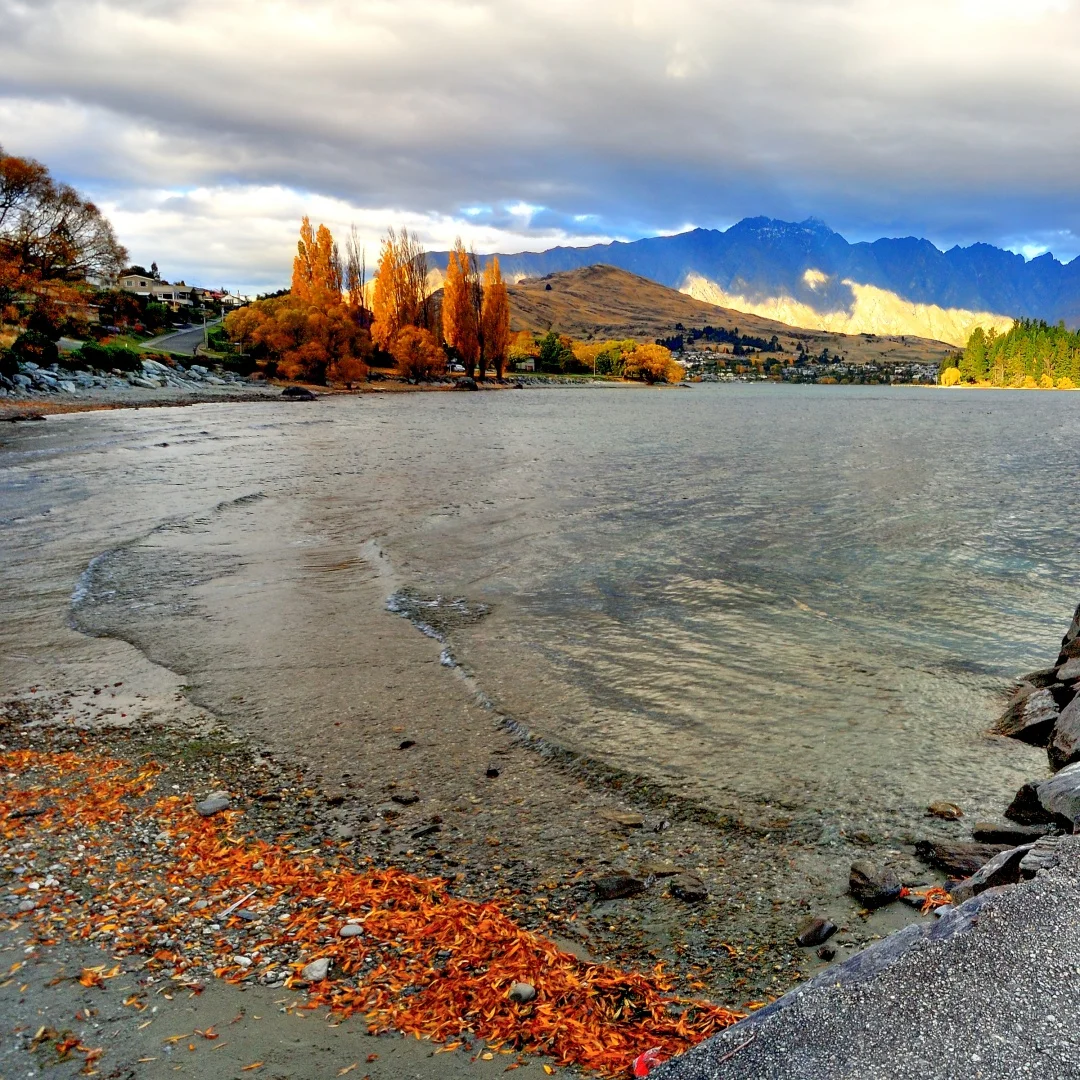 

Qualcomm 12.3" Android 13 Carplay Car Video Player Central Multimedia Stereo Screen For Land Rover Discovery 3 LR3 2004-09 Unit