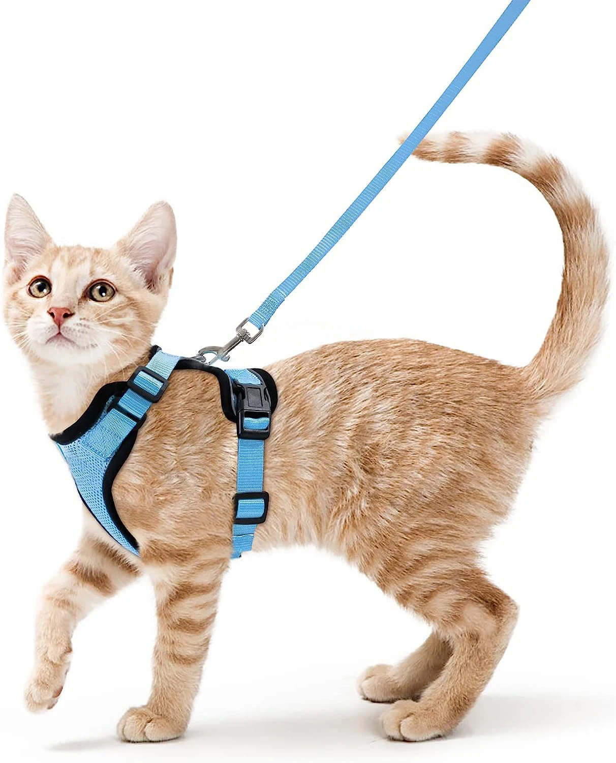 Katzengeschirr und Leine zum Spazierengehen, auslaufsichere, weiche, verstellbare Weste, Geschirre für Katzen, EasyControl