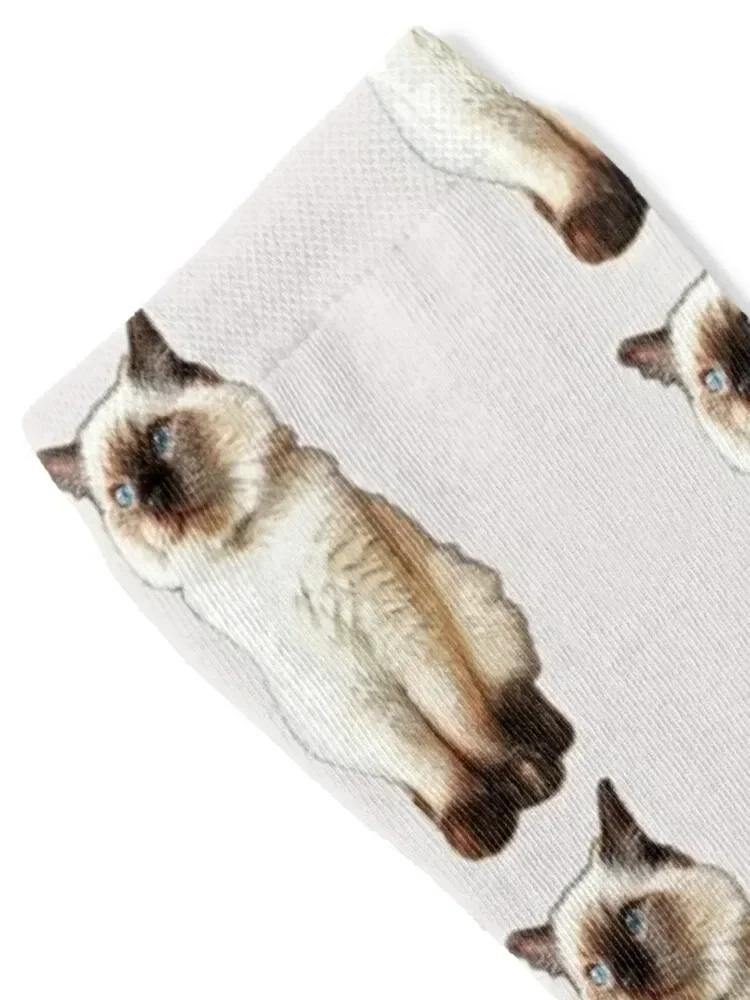 Ragdoll Cat Rag ตุ๊กตาลูกแมว Birman ซีลจุดถุงเท้าฤดูหนาวถุงเท้าเย็นสําหรับผู้หญิงผู้ชาย