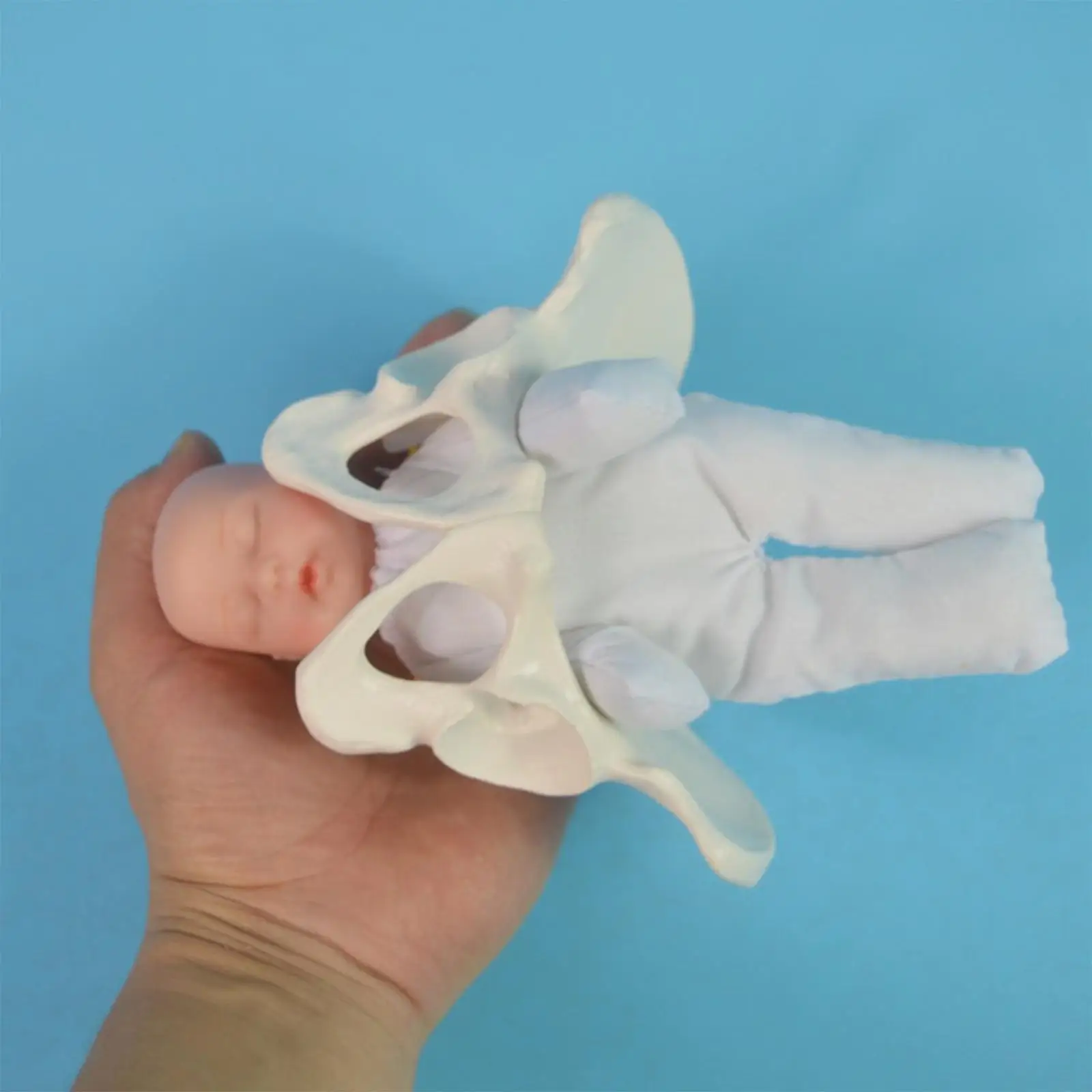 Human Female Pelvis Model with Models of Baby Pelvis Mini Female Pelvis Model for School