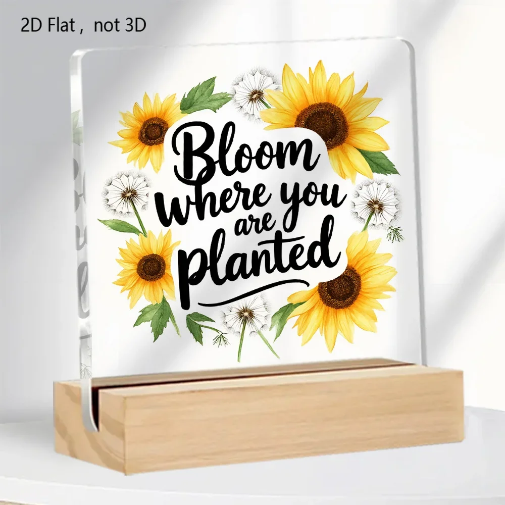 2D Flat, 1Pc Elegan…