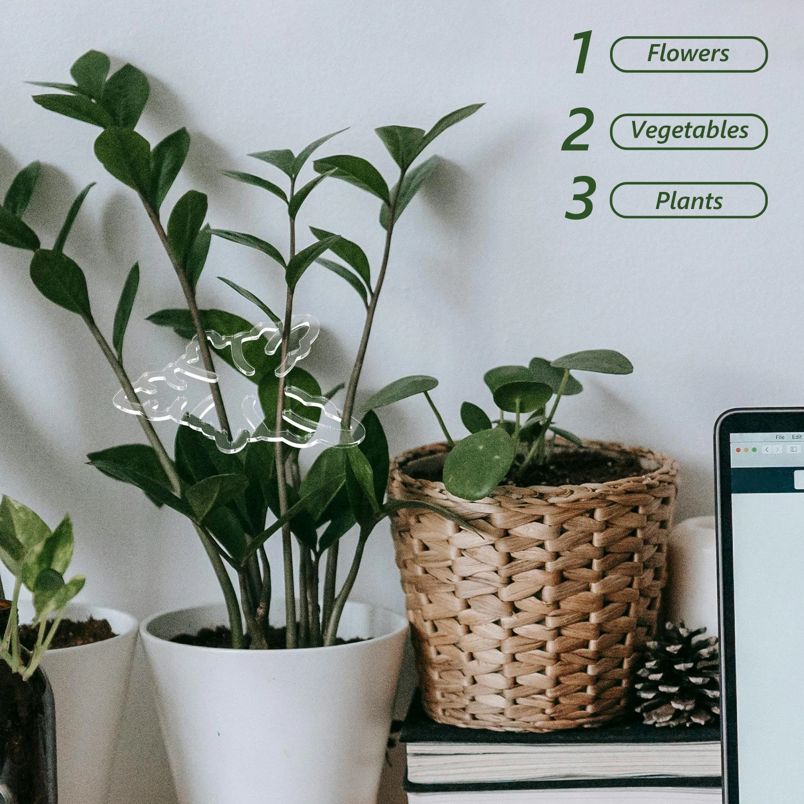 

Acrylic Garden Plant Stem Support Holder Rack Flower Stem Fixing Holder for Indoor Plants Flowers Vegetables Monstera Grapple