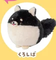 Black Shiba