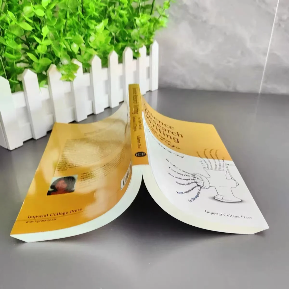 Science Research Writing A Guide for Non-native Speakers of English Paperback Book