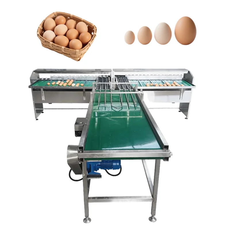FOODLINE Customized Fully Automatic Five Grades Egg Grader Duck Goose Hen Egg Weighing Scale Machine Sorting Egg Grading Machine