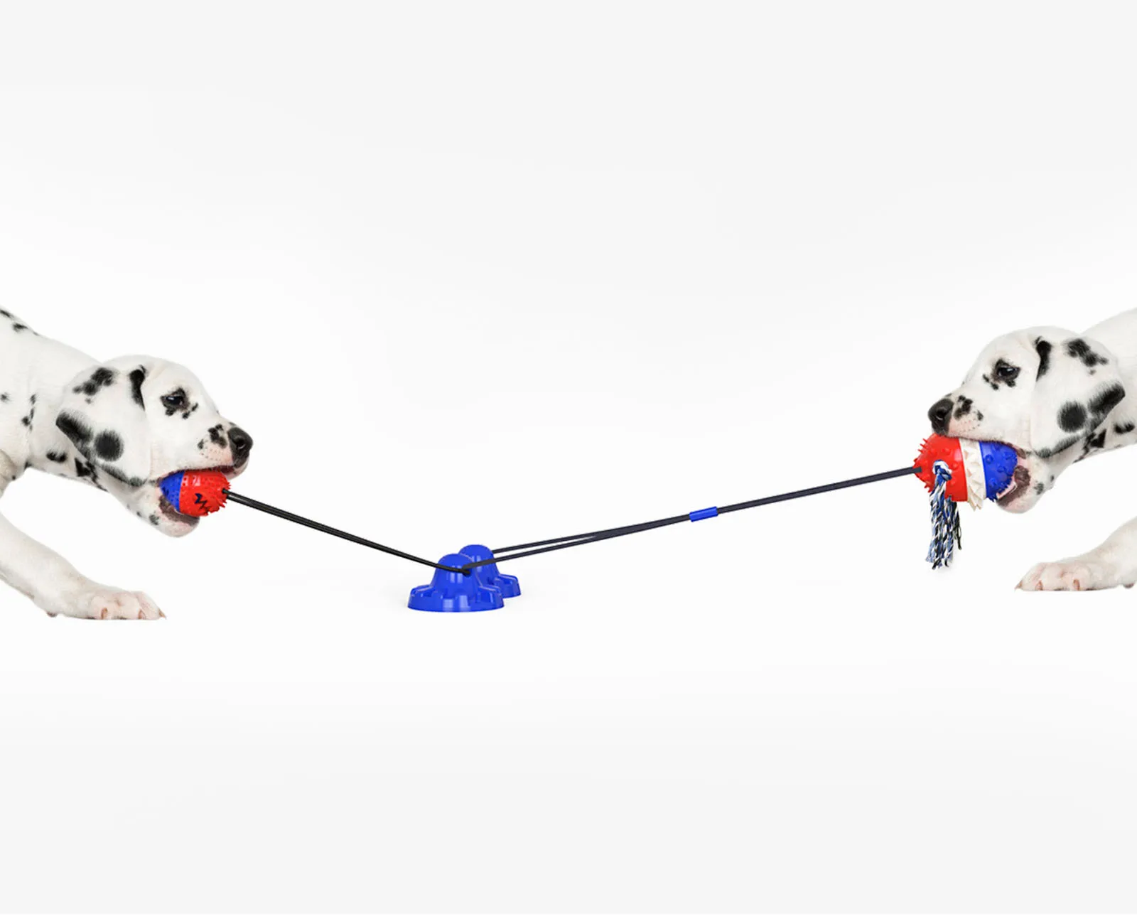 Blue Pets Toys And Accessories Pet Elastic Rope Toy Dog Outdoor Strong Sucker