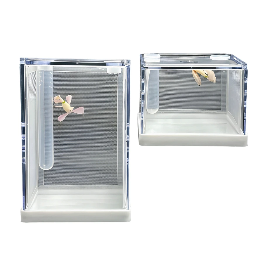 Mantis Transparent Acrylic Feeding Box Mantis Feeding Box Insect Feeding Box Mantis Landscaping Villa Insect Box