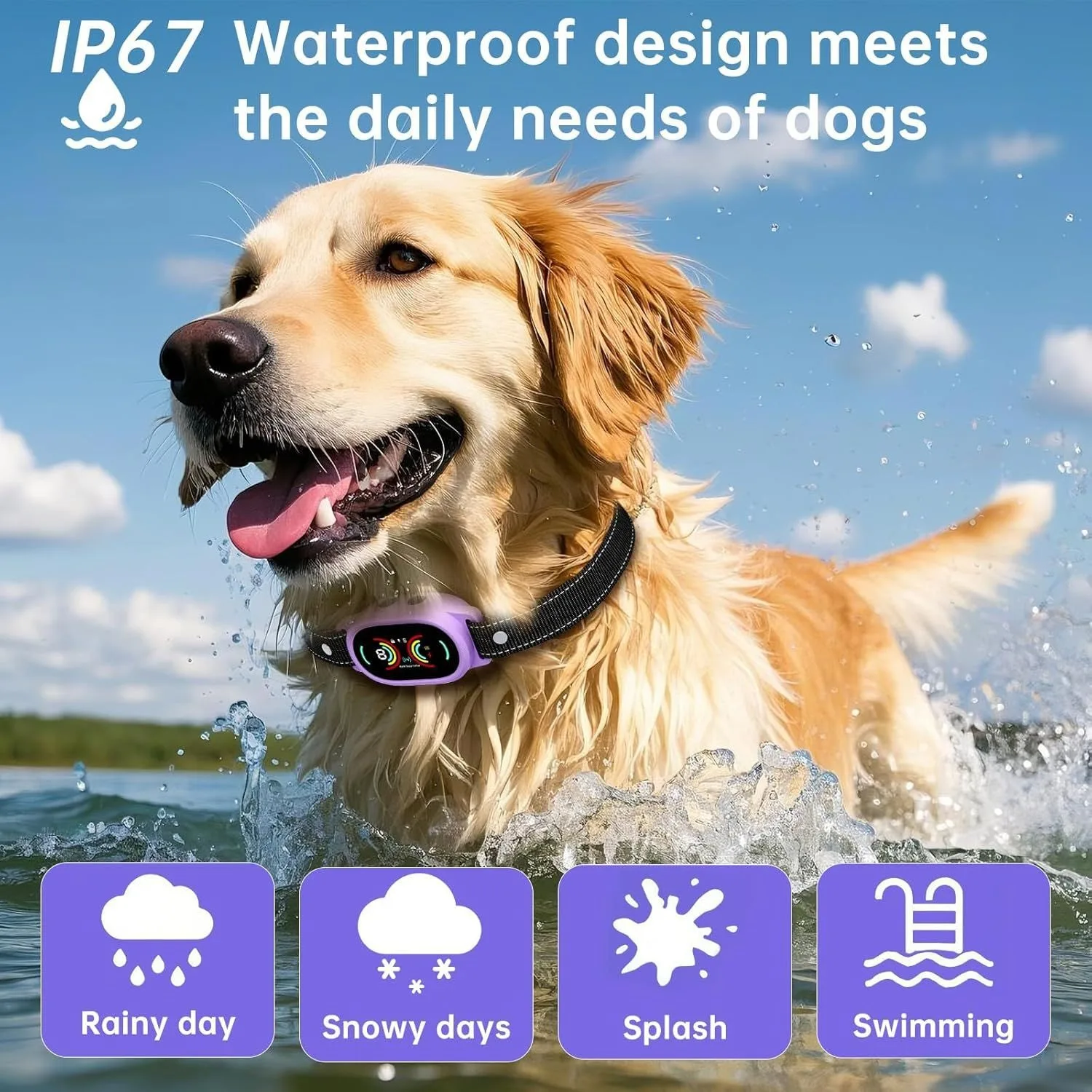 Smart Bark Training Collar 6