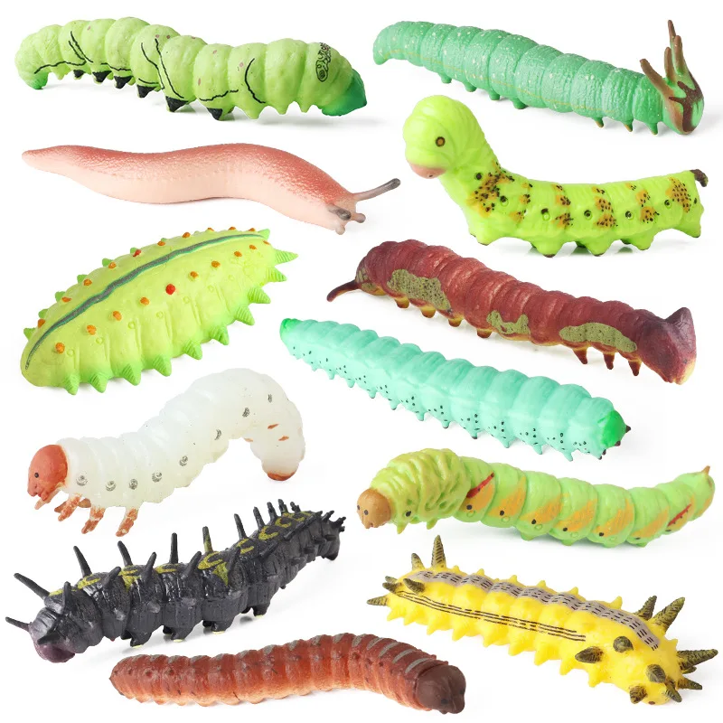 

Solid TPR Caterpillar Children Simulated Cognitive Insect Animal Model Decompression Toy