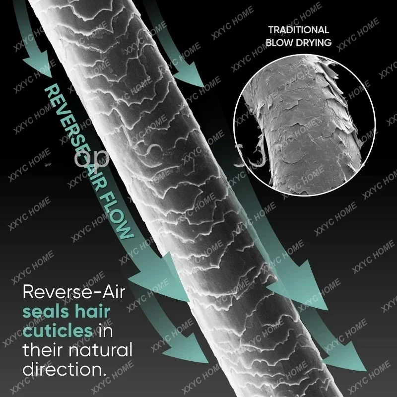 RevAir Reverse-Air Hair Dryer， Vacuum Hair Dryer for All