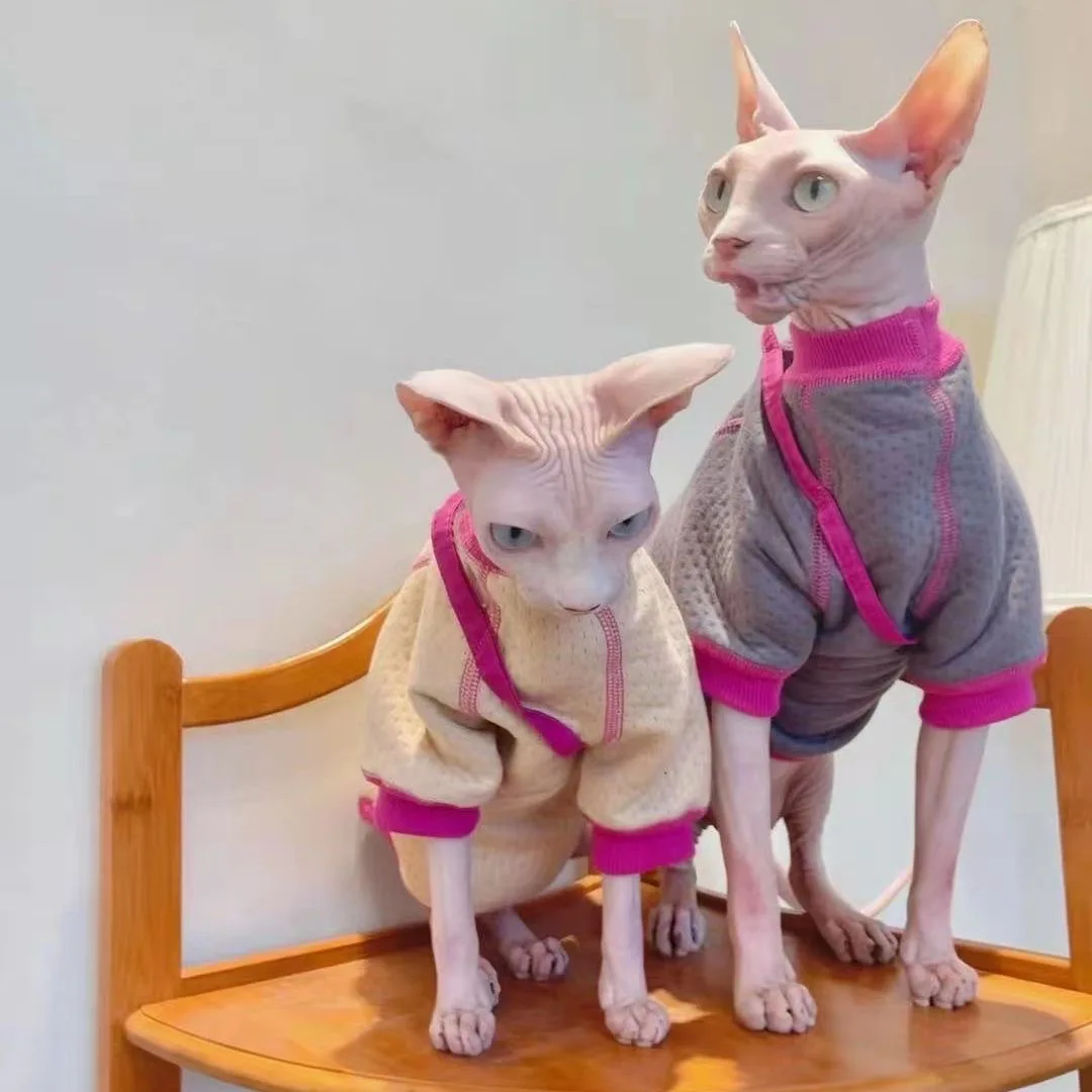 Casaco pelado quente para gato Sphynx, elegante casaco de inverno confortável, suéter grosso com bolso para gatinhos, roupas para inverno