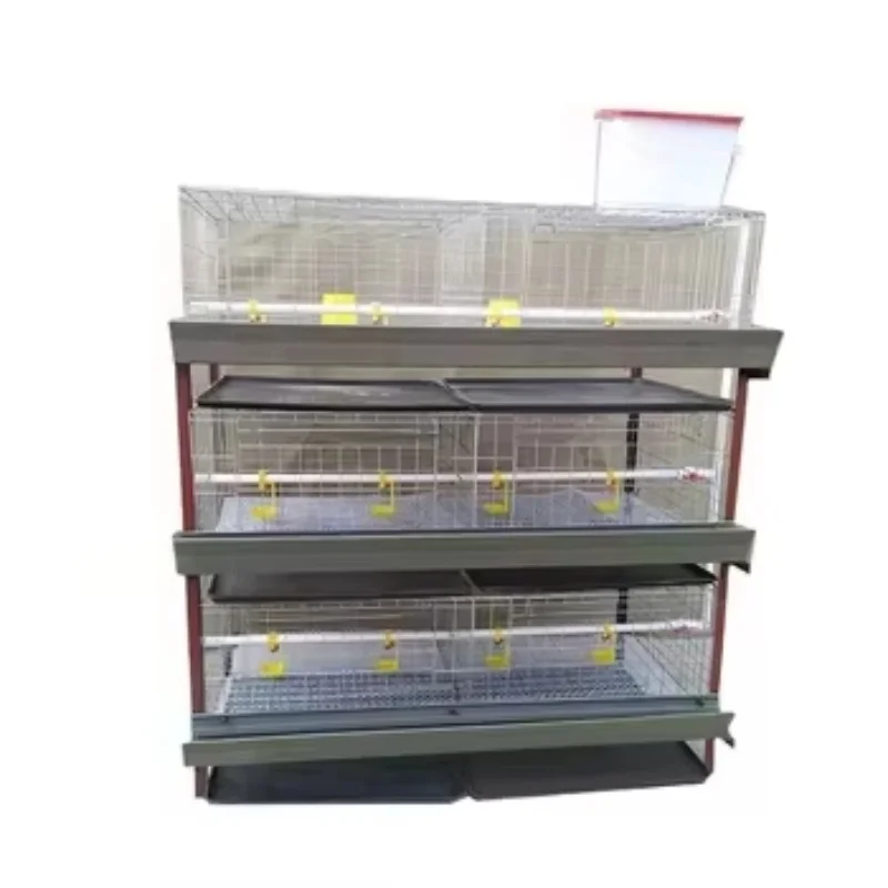 Equipment H-Type Poultry Broiler Cage 3 Floor 4 Floor Battery Chicken Cage Backyard Broiler Chicken Cage Design