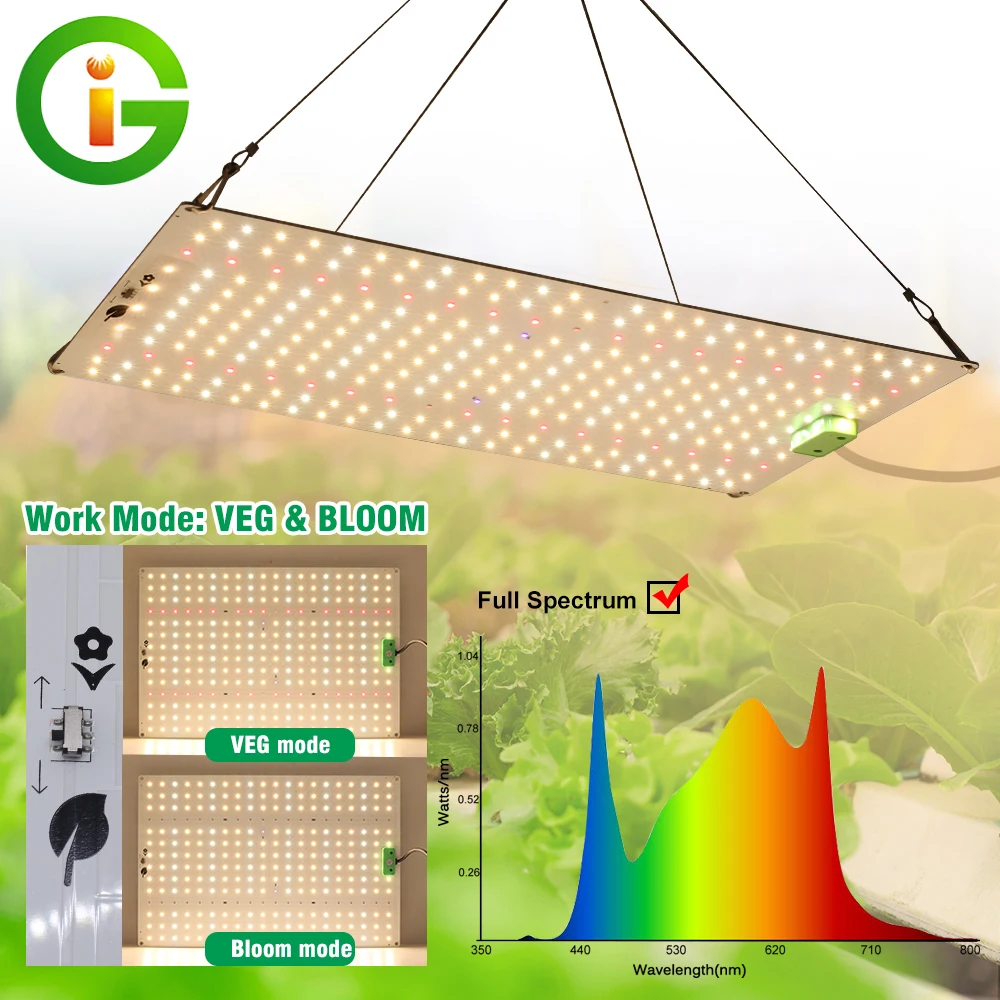 Luz LED de cultivo LM281b, fitoamplificador de verduras y flores para tienda de cultivo, lámpara hidropónica de espectro completo, flor de invernadero