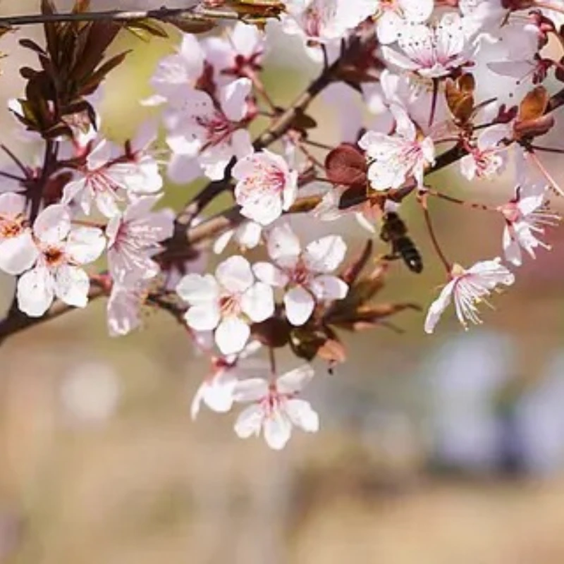 JX B130 130kg Mega Torque Volledige CNC Metal Gear Standaard Digitale Borstelloze Servo voor 1/5 RC auto Vrachtwagen Robot Drone