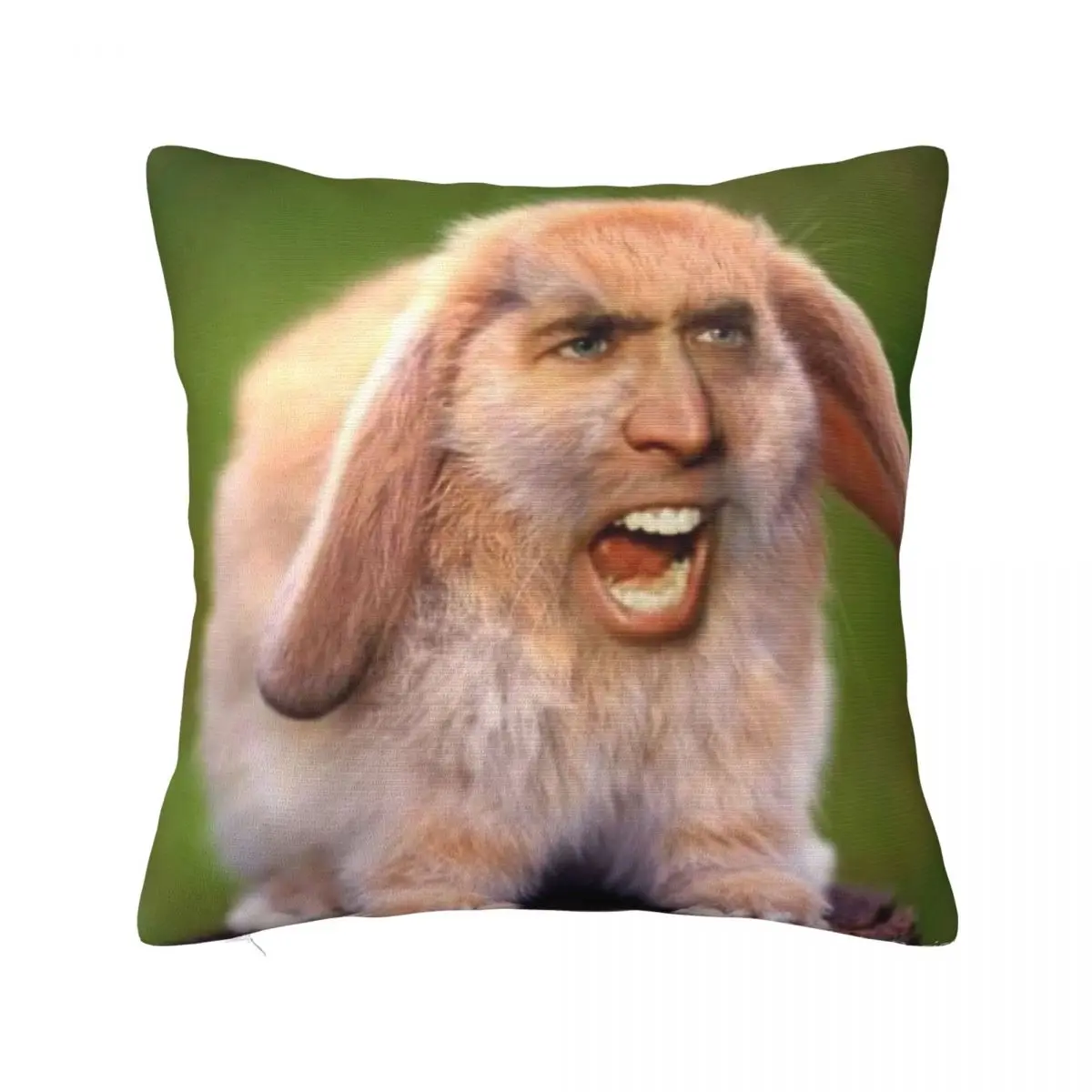 Nicholas Cage(d Rabbit) A Pillow Case