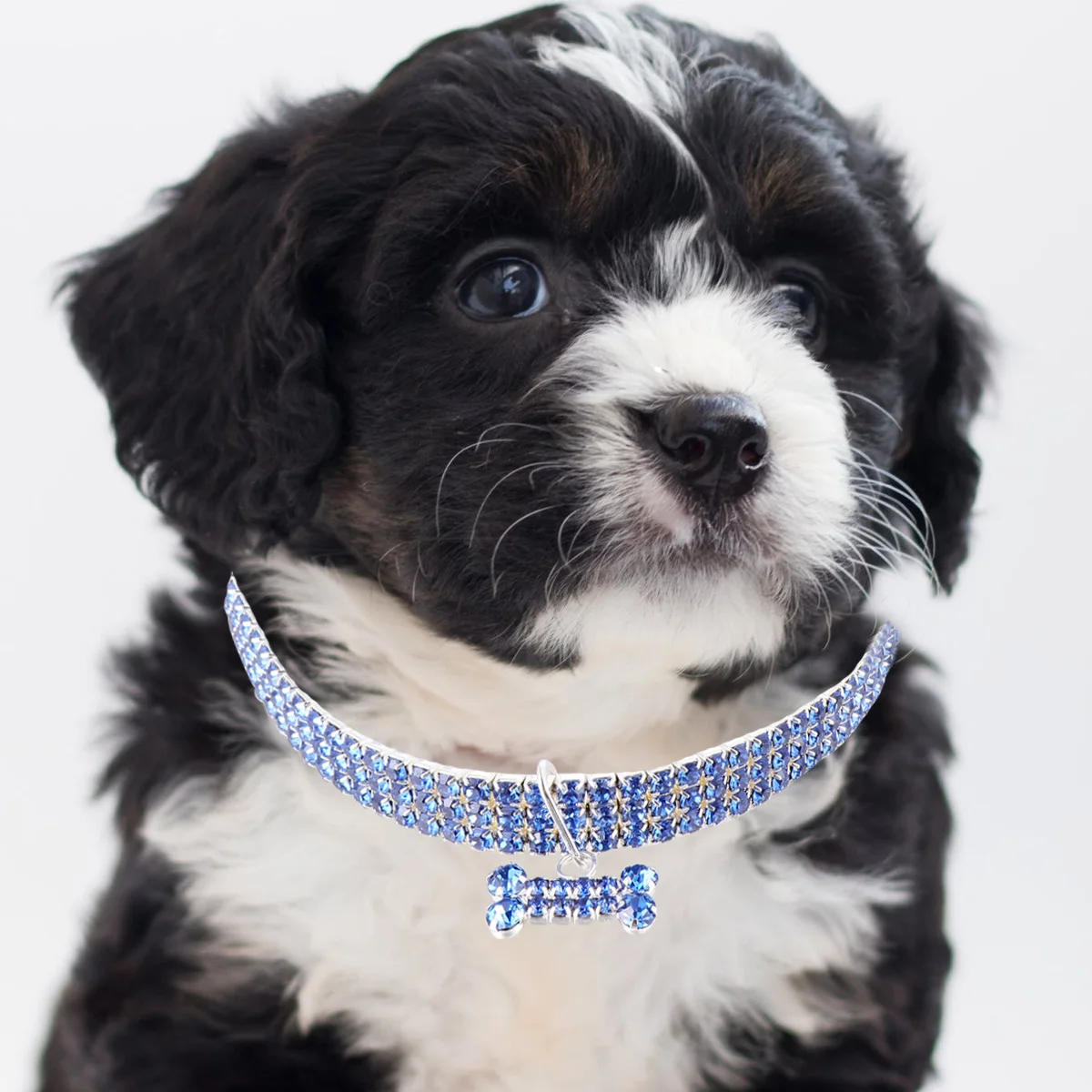 

Rhinestone Necklace Pet Dog Cat Puppy White Rhinestones Collar Beaded Collars Small Chain