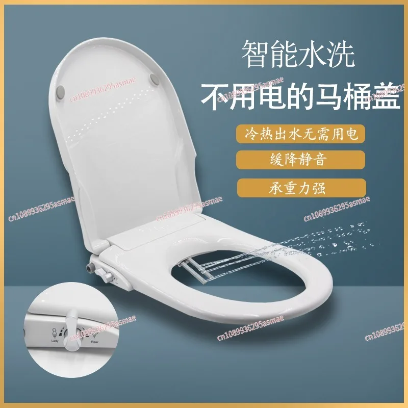 

Non-Electric Light Smart Bidet Toilet Seat Integrated Home Toilet with Feminine Wash & Self-Cleaning Function