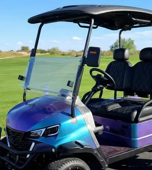 OEM 2 Seater Small Golf Car 48V Lithium Battery for Private Garden