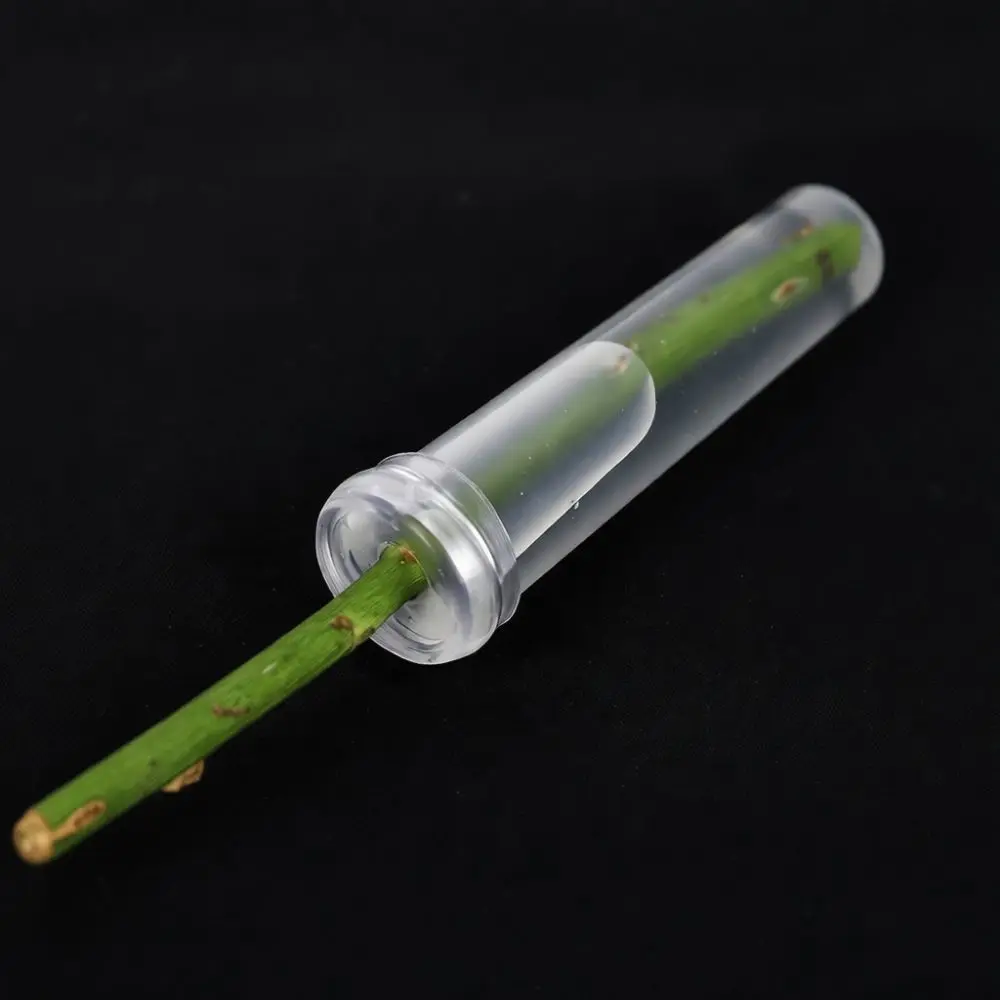 Portable Flower Water Tubes Nutrient Vials For Fresh Floral Arrangement Preservation Wedding Bouquet Accessory Florist Tool
