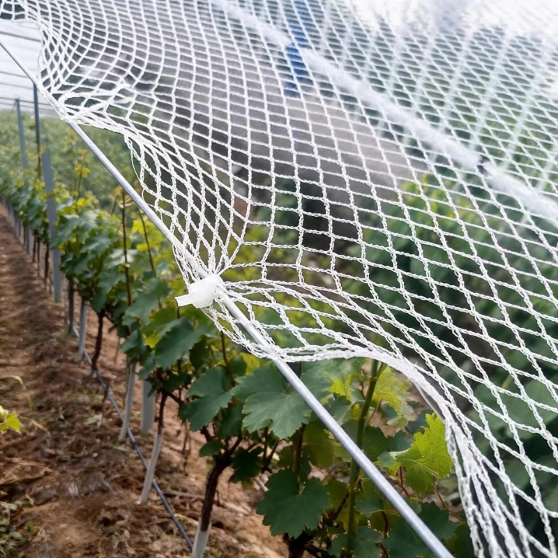 High Quality 0.5 Mesh Grape Net Protect Harvest from Birds Fence Net