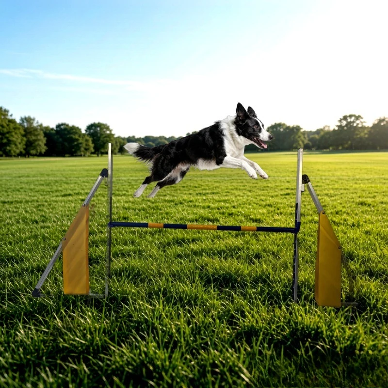 FCI Competition Grade Pet Agility Hurdle Dog Jump Bar Adjustable Height 10-65cm Dog Obstacle Training Rack