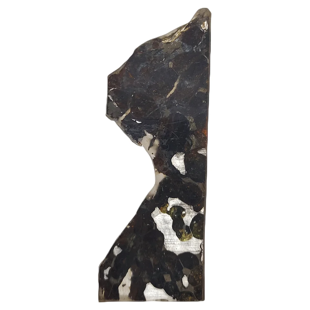 Brenham Olive Meteorite Slice Olive Meteorite Specimen Natural Meteorite Material Specimen