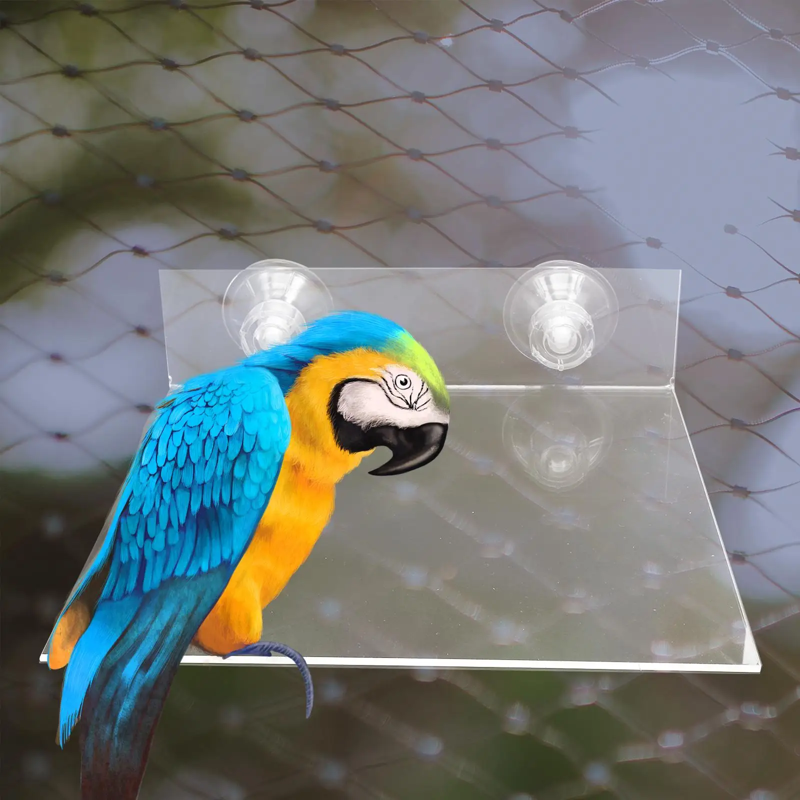 

Parrot Stand Platform Suction Cup Bird Perch Accessories Acrylic Cage Hanging Small Parakeet Toy Portable Flat Perch Window Wall