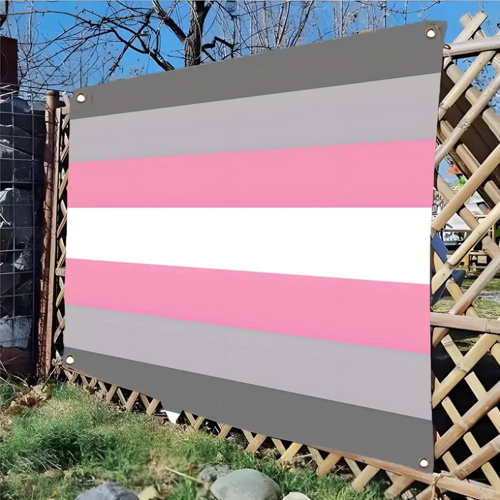 Demigirl Pride LGBTQ Flags Daily four ring borderless design indoor outdoor decor easy hang install