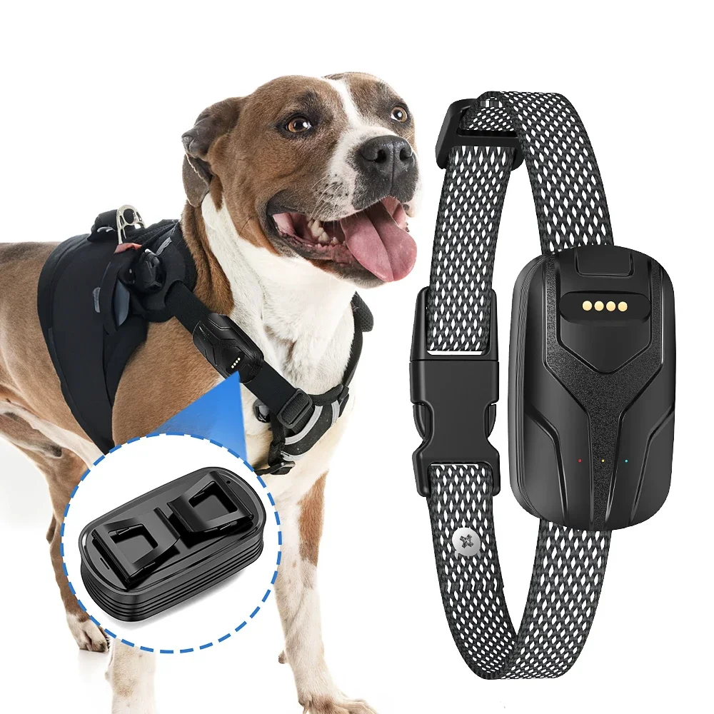 

Pet Smart 4G WIFI GPS Voice Calls Long Range Accurate Dog Tracker Collar with Free Online Software Tracking System