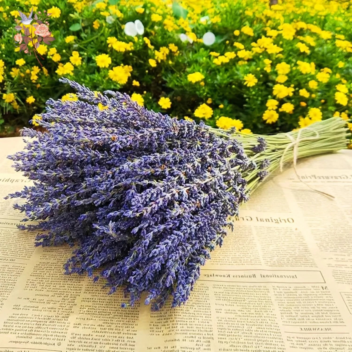 

50/100g Natural Dried Lavender Flowers Bundles Weding Arrangements Boho Home Garden Table Decoration Fragrance DIY Crafts Gift