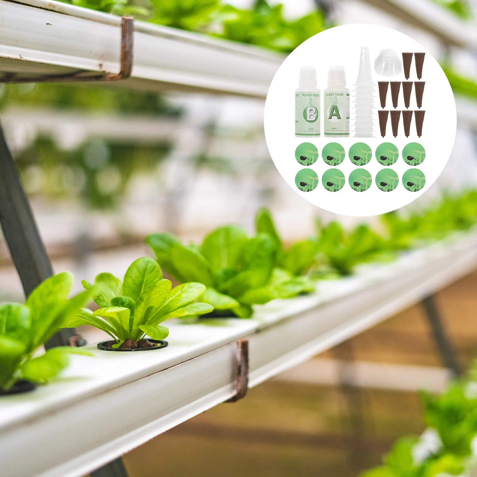 

1Set Hydroponic Plant Grow Basket Soilless Pots with Transparent Humidity Dome Indoor Garden Starter Kit Humidity Dome