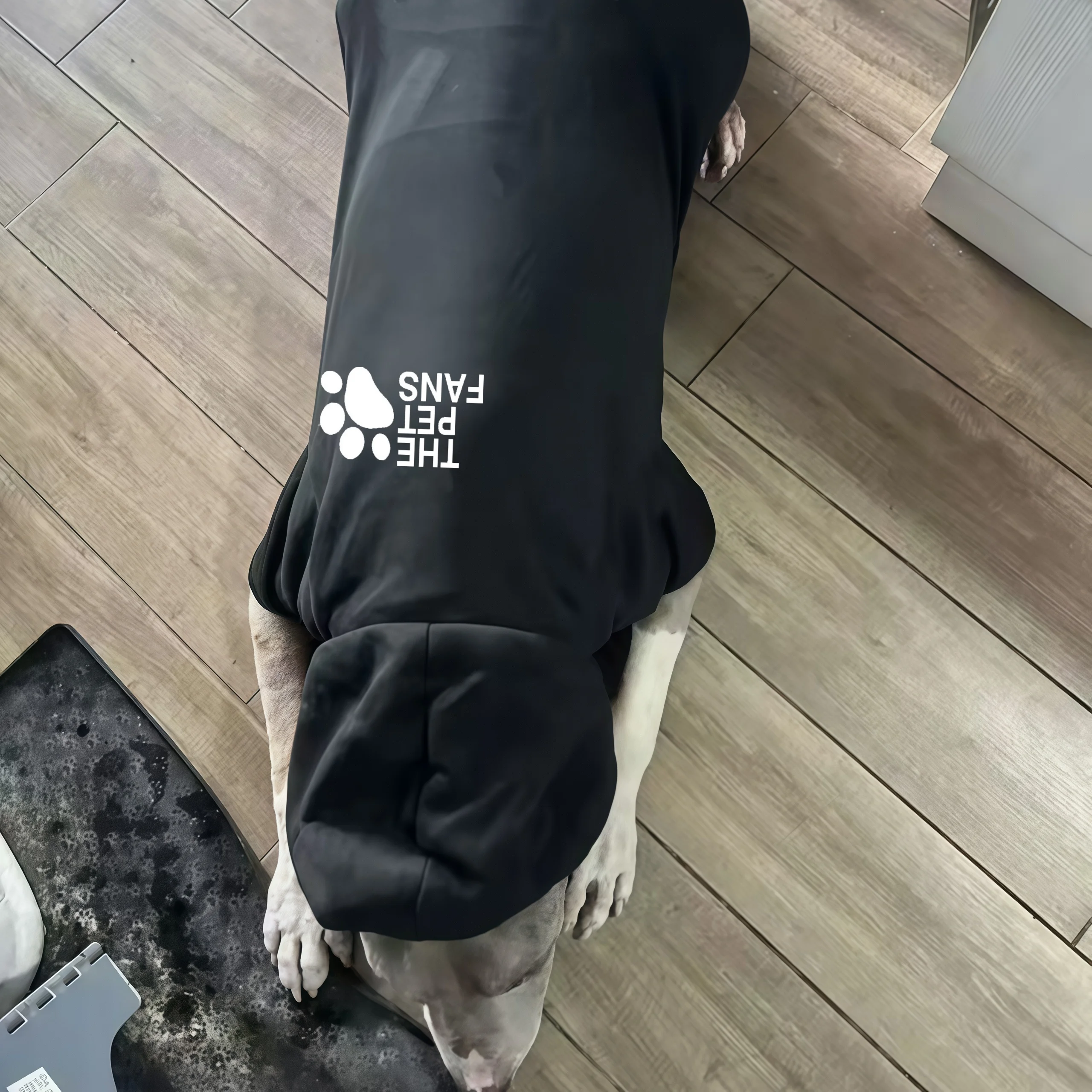 شتاء جديد ملابس الحيوانات الأليفة الكلب الخريف وملابس الكلب موضة معطف رياضي في الهواء الطلق الكلب هوديي الشعر الذهبي لابرادور الكلب الملابس