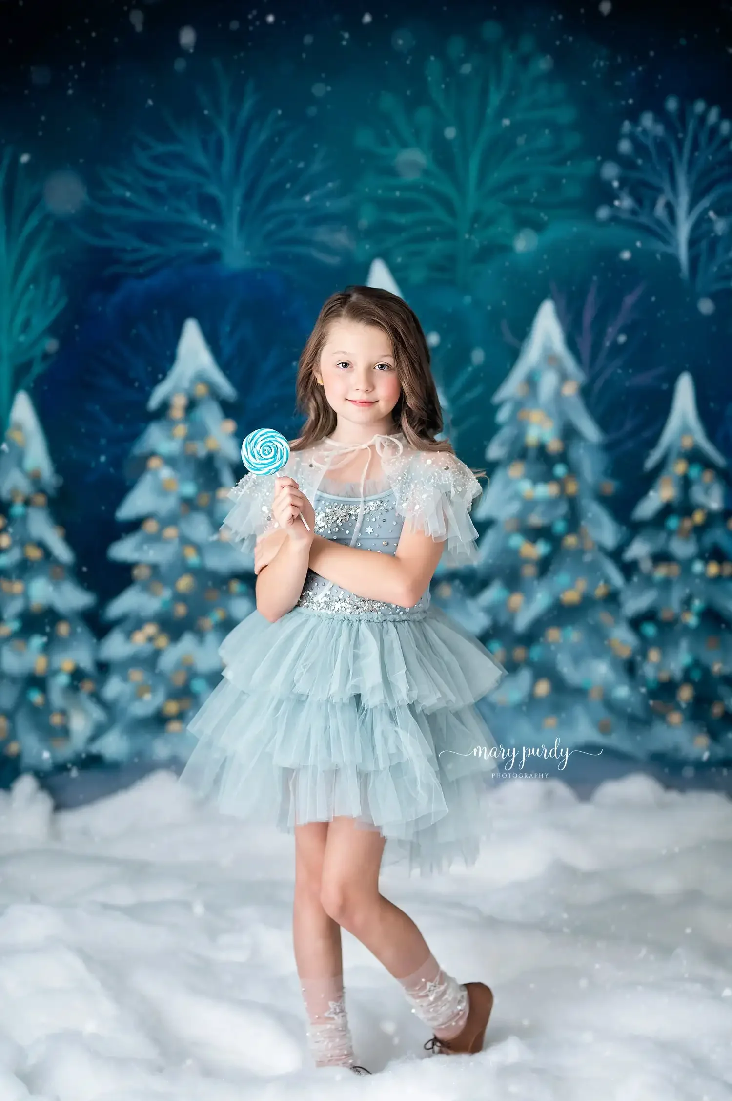 Christmas at the Northern Lights Backdrops Kids Adult Portrait Photography For Photostudio Child Xmas Snowy Forest Background