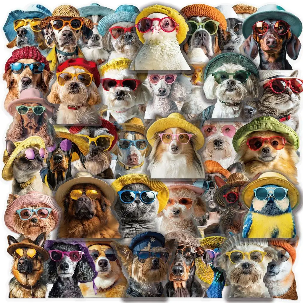 50Pcs Clear Cute Pet Themed PET Sticker Waterproof Scrapbook Decals For Guitar Notebook Cup DIY Ornament RecordingYourLife Store