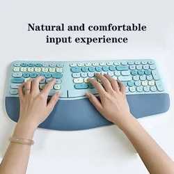 Mofii-Ensemble clavier et souris ergonomiques, 2.4G, combos multi-documents, compatibles avec Windows