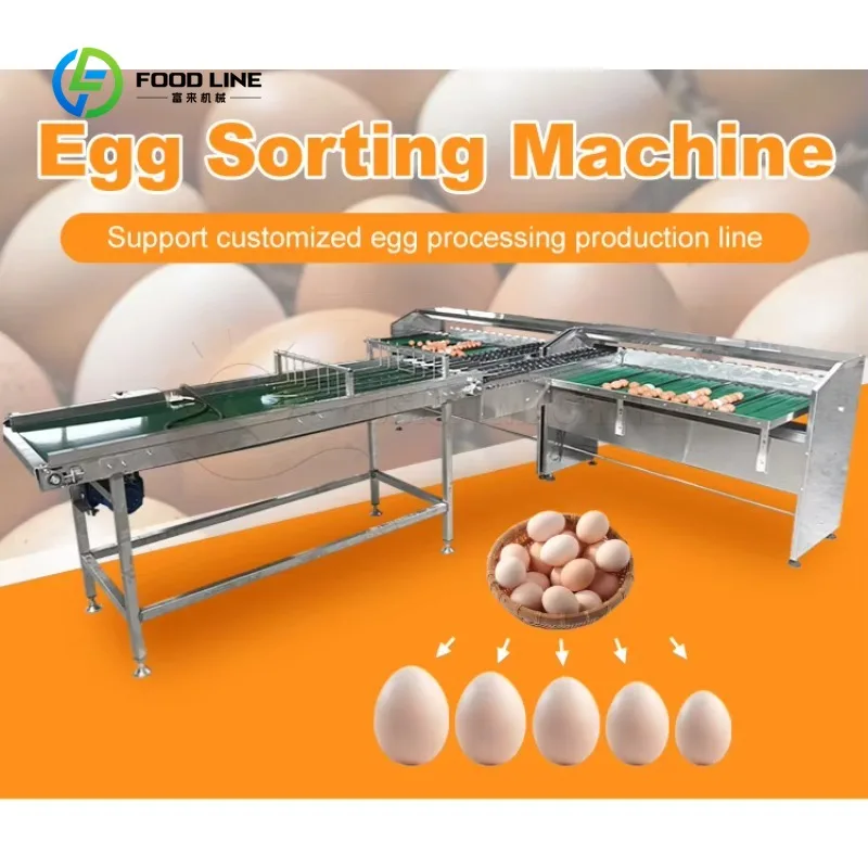 Customized Unique Features Electronic High Precision Egg Size Sorter Classifier Egg Grading Machine for Eggs Processing
