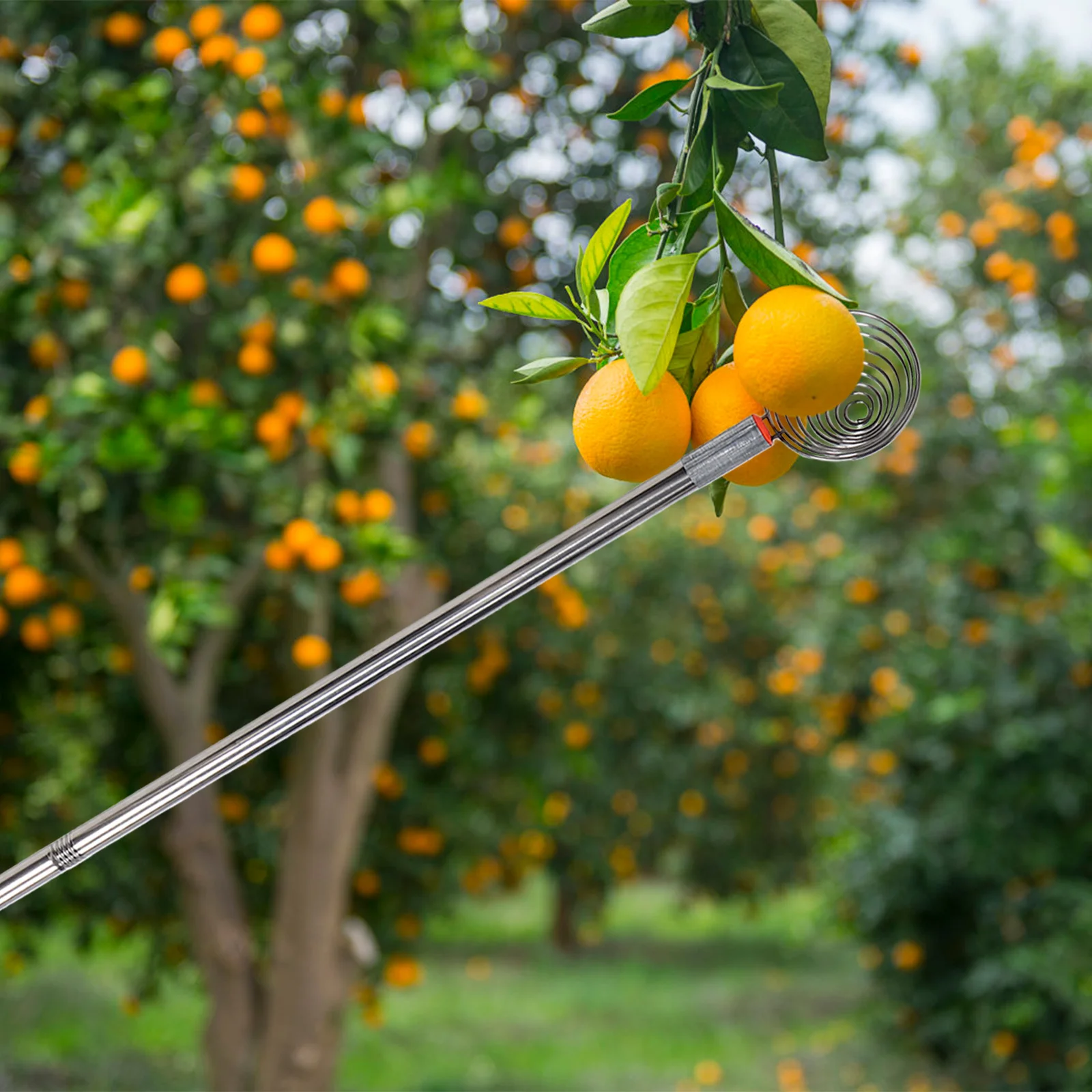 

42-Inch Stainless Steel Egg Picker Tool Ergonomic Long Reach Grabber For Chicken Coop Farm Harvesting Poultry Egg Collector