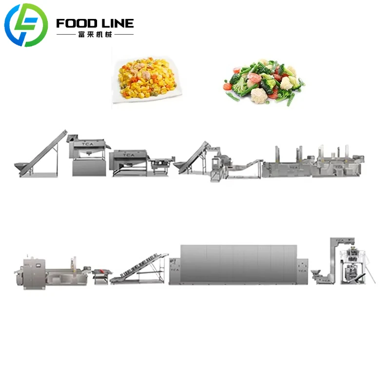 Customized Fruit Vegetable Drying Processing Line Hot Air Continuous Drying Production For Dehydrated Fruit Vegetable Making