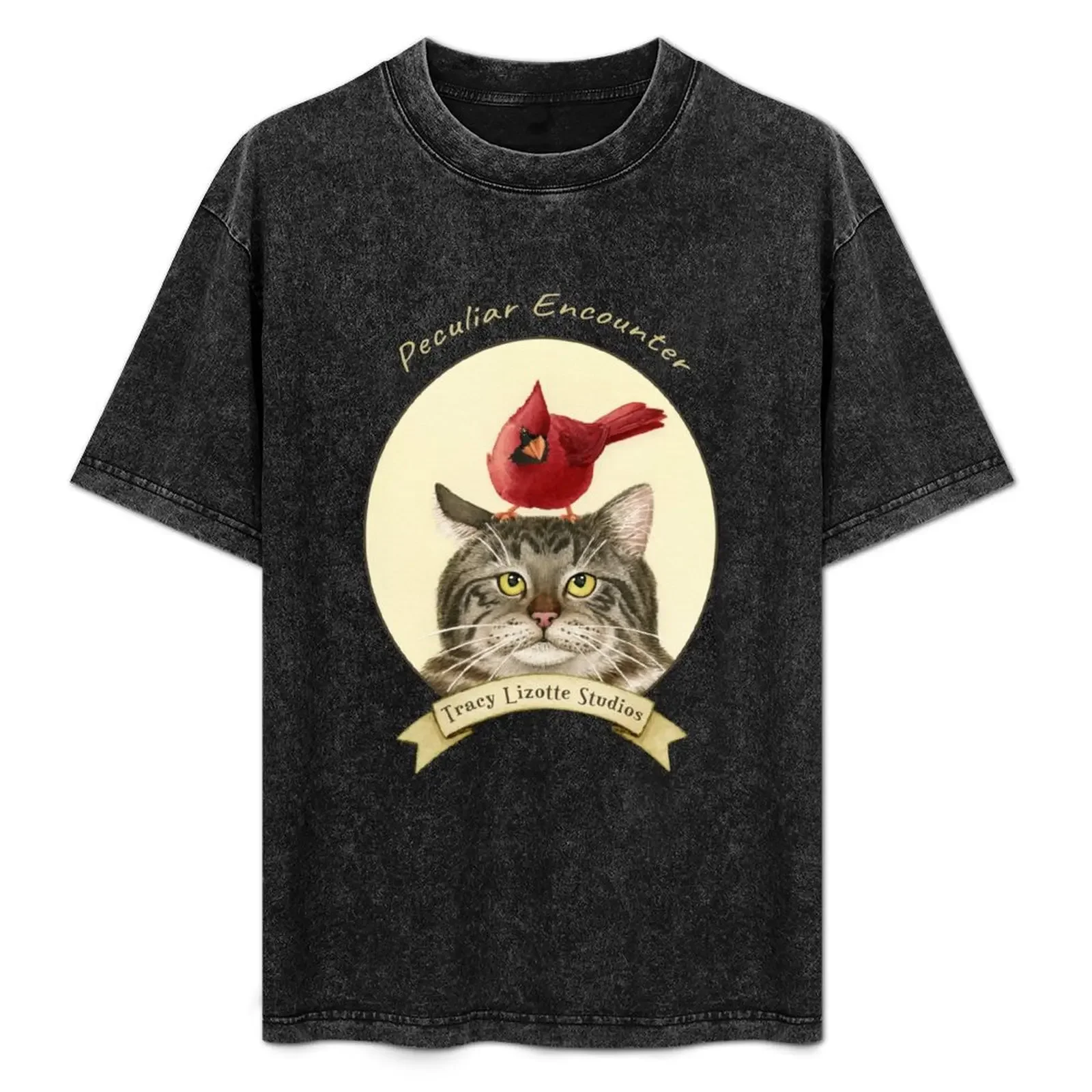 

Peculiar Encounter T-Shirt Minimalist Graphic Tee Shirt