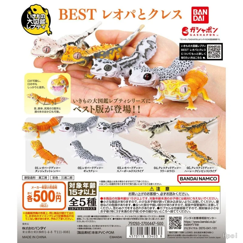 

Bandai Original 5Pcs Gashapon The Diversity of Life on Earth BEST レオパとクレス Toys For Kids Gift Collectible Model Ornaments