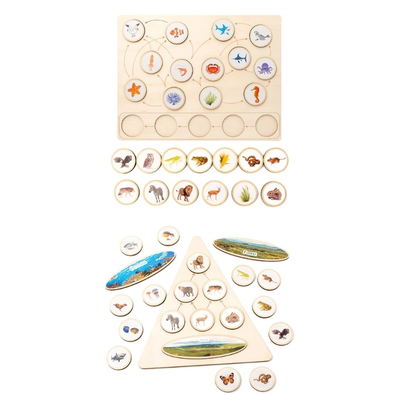 

Ecological Food Chain Board for Kids ForestAnimal Learning Puzzle Food Cycle Education Props Parent-Kid Interaction Toy